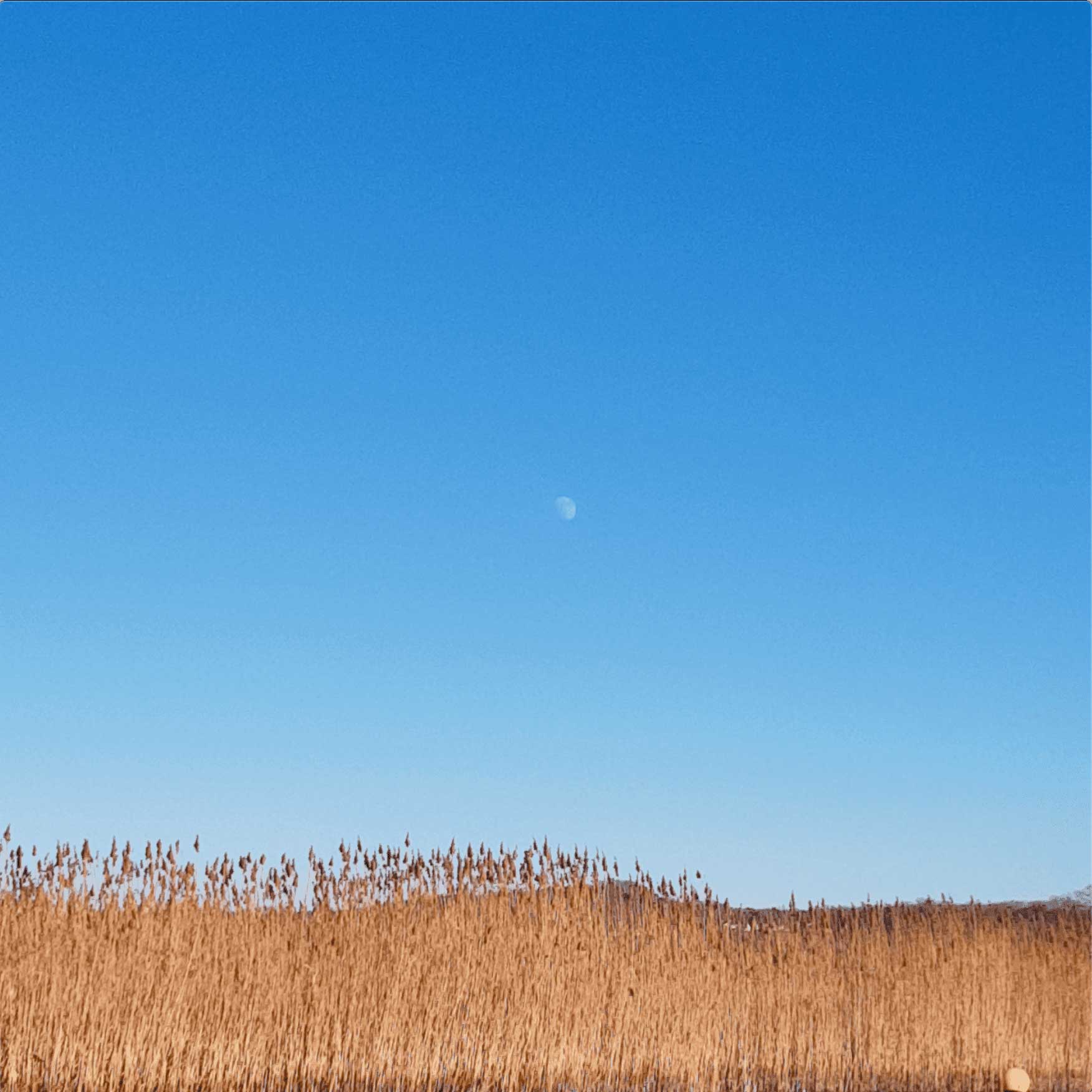 video footage of the sky and a beach